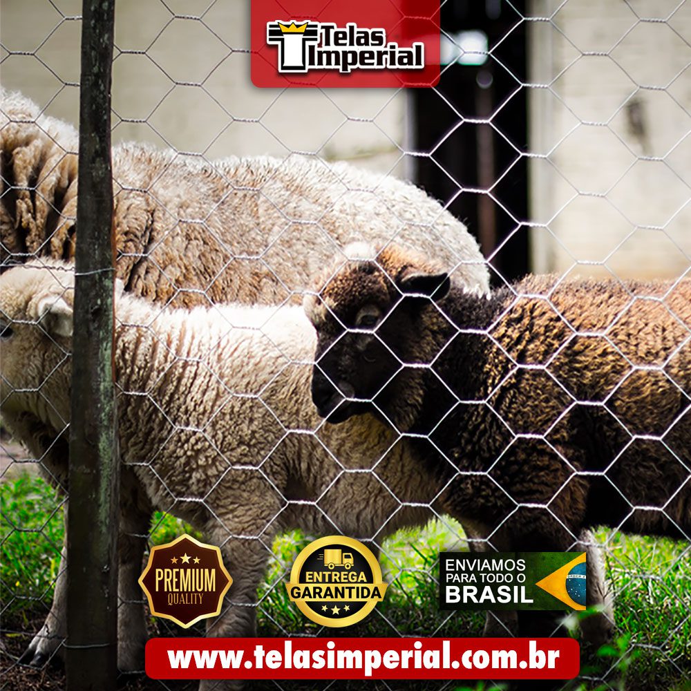 tela-mangueirao Fábrica de Tela e Alambrado em Porteiras - CE