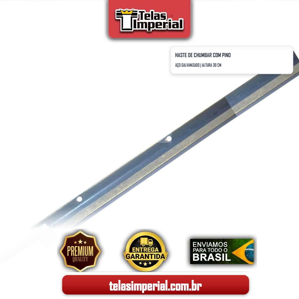 Haste de Chumbar com Pino 30 cm