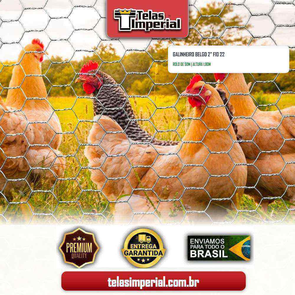 Belgo Hexanet Galinheiro Fio 22 2" 50m x 1,80m