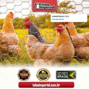 Galinheiro Morlam 2" Fio 22 com 1,50m altura