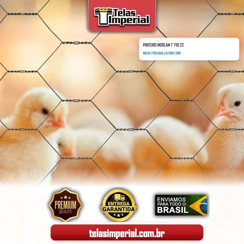Pinteiro Morlam 1" Fio 22 com 1,50m altura